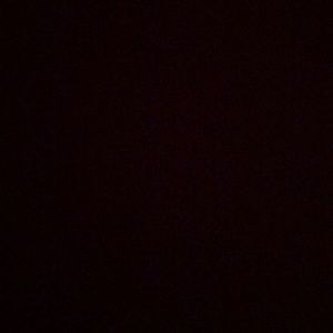 Meet your Posher, Bonnie